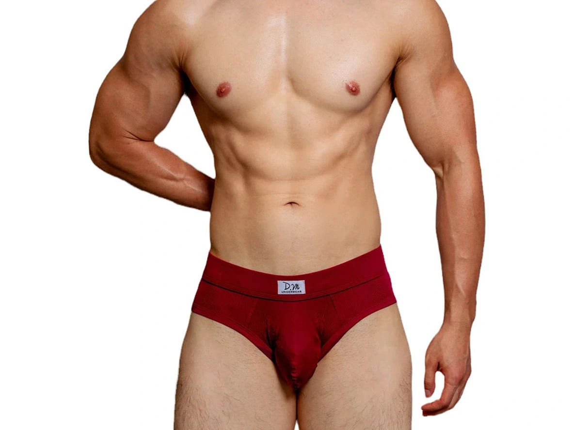 Gay Briefs | D.M Collection Comfortable Briefs