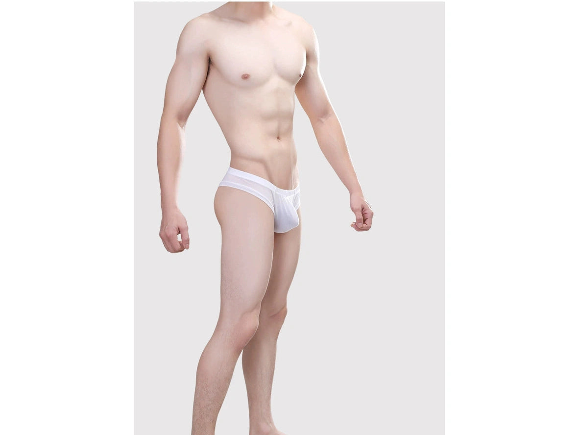 Cheeky Heat – Low-Rise Gay Thong
