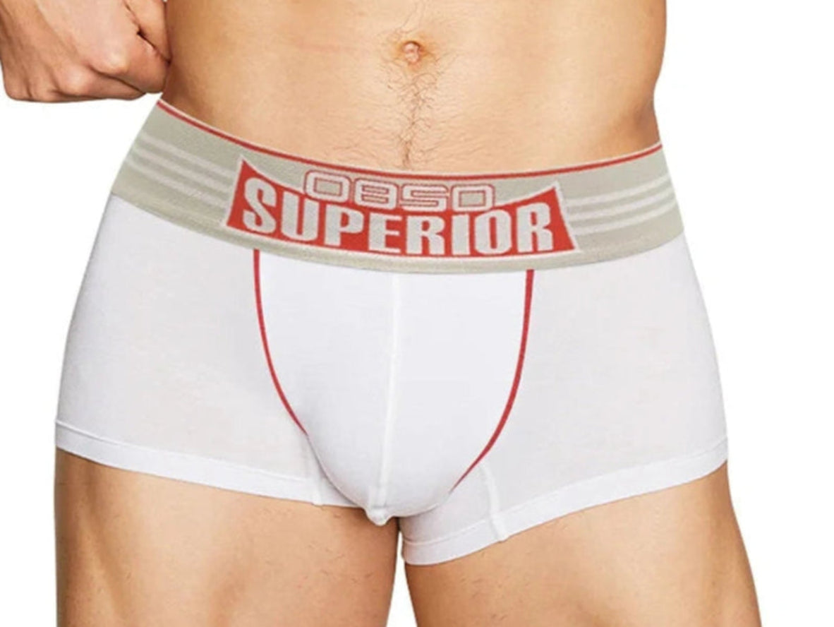 Gay Boxer Briefs | 0850 Superior Cotton Boxer Briefs