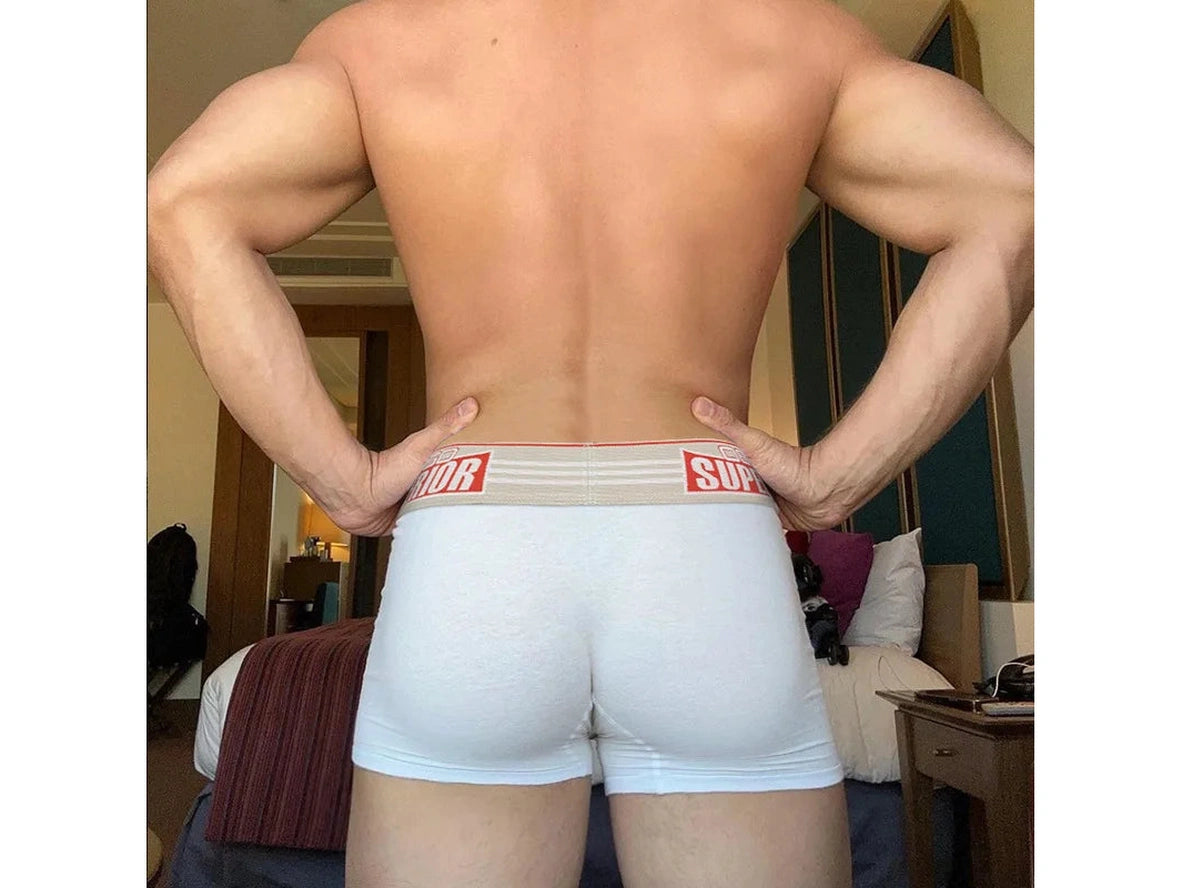 Gay Boxer Briefs | 0850 Superior Cotton Boxer Briefs