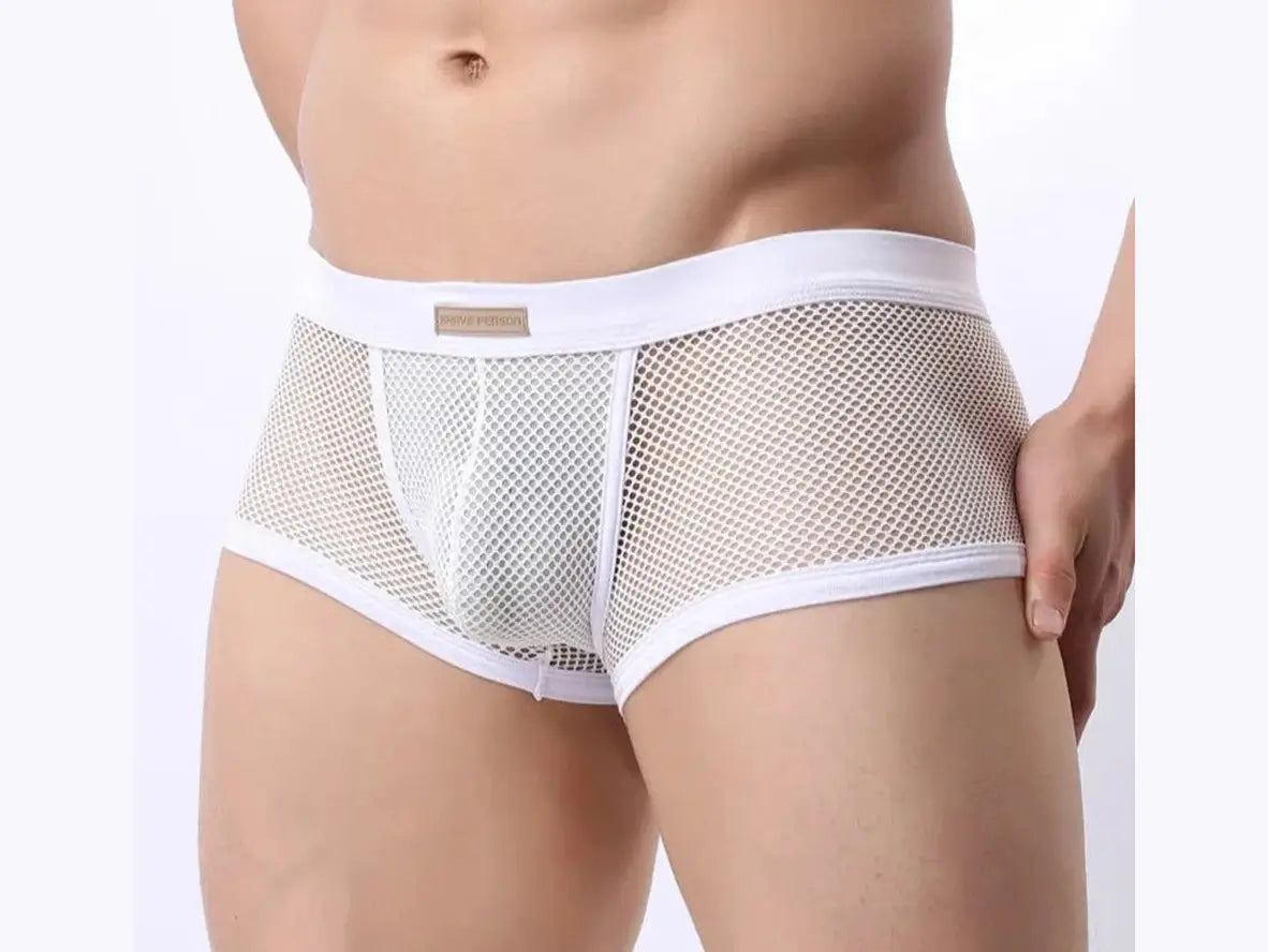 Gay Boxer Briefs | BRAVE PERSON Underwear Mesh Boxer Briefs