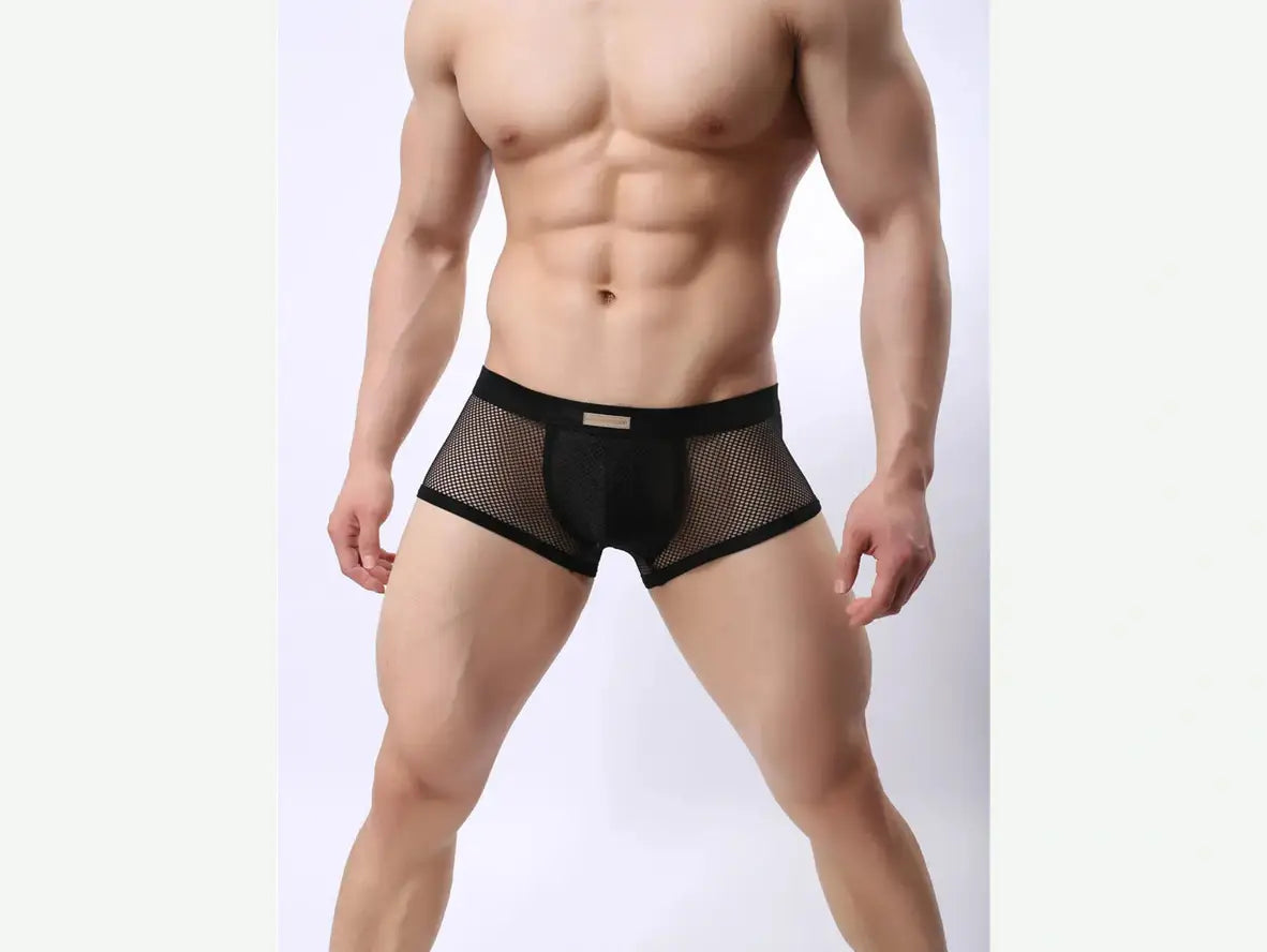 Gay Boxer Briefs | BRAVE PERSON Underwear Mesh Boxer Briefs