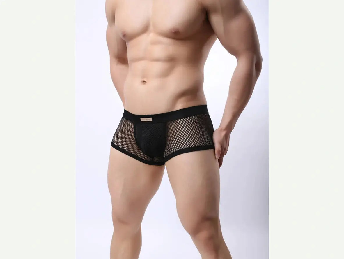 Gay Boxer Briefs | BRAVE PERSON Underwear Mesh Boxer Briefs