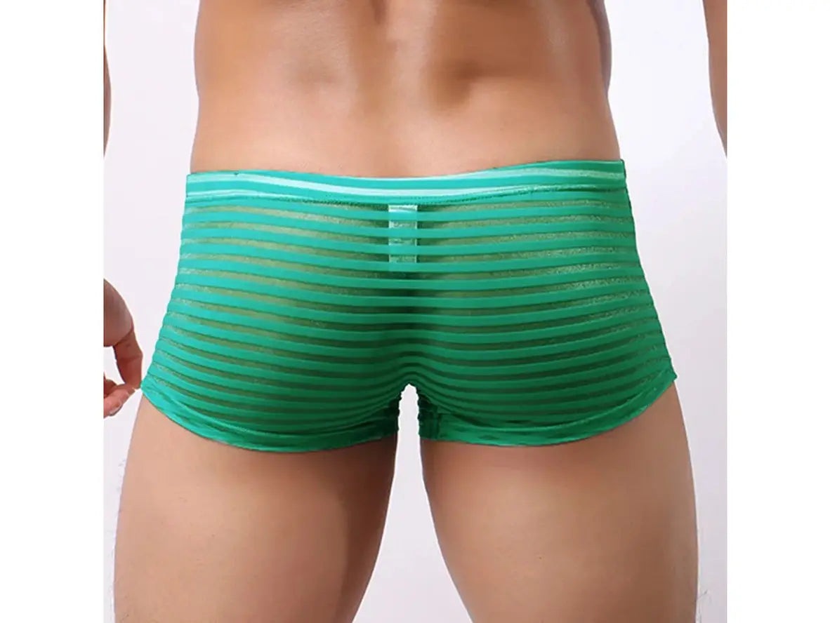 Gay Boxer Briefs | CLEVER-MENMODE Underwear See-Through Boxer Briefs