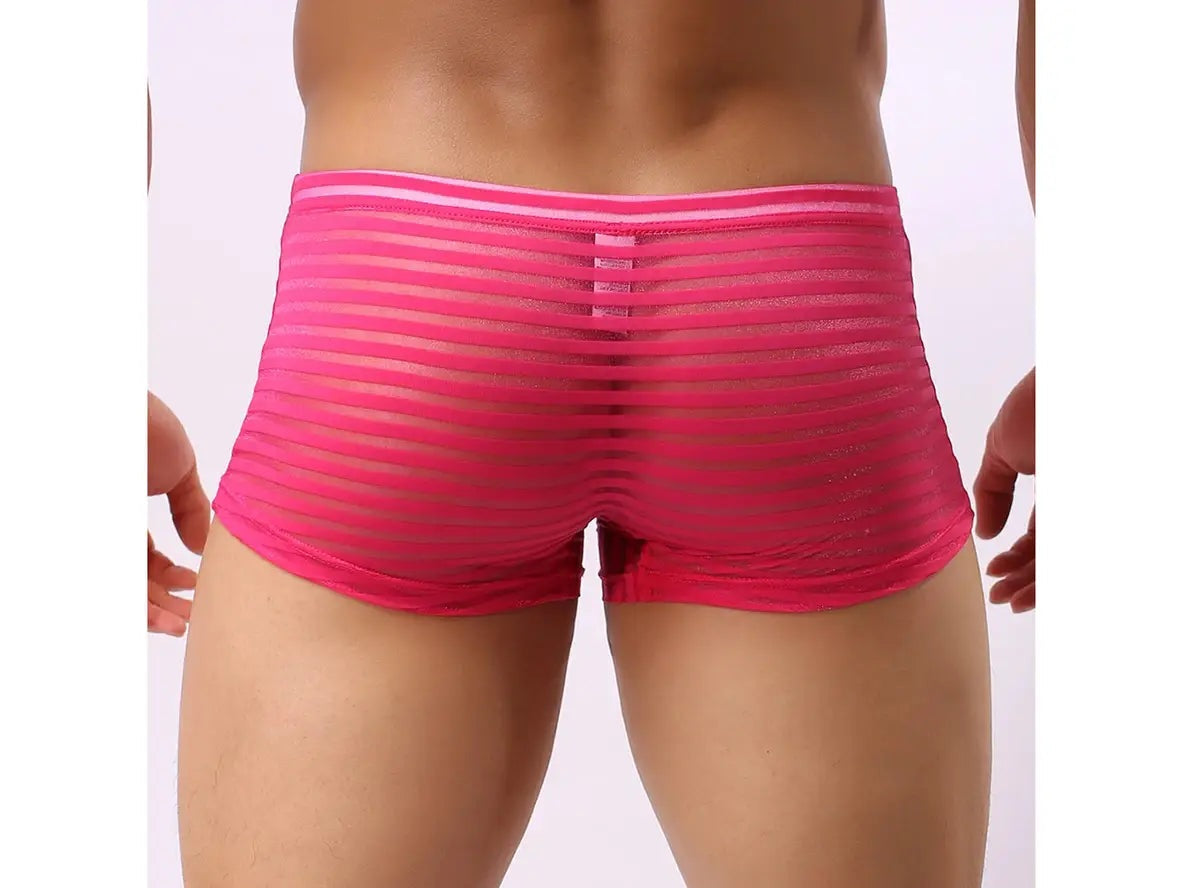 Gay Boxer Briefs | CLEVER-MENMODE Underwear See-Through Boxer Briefs