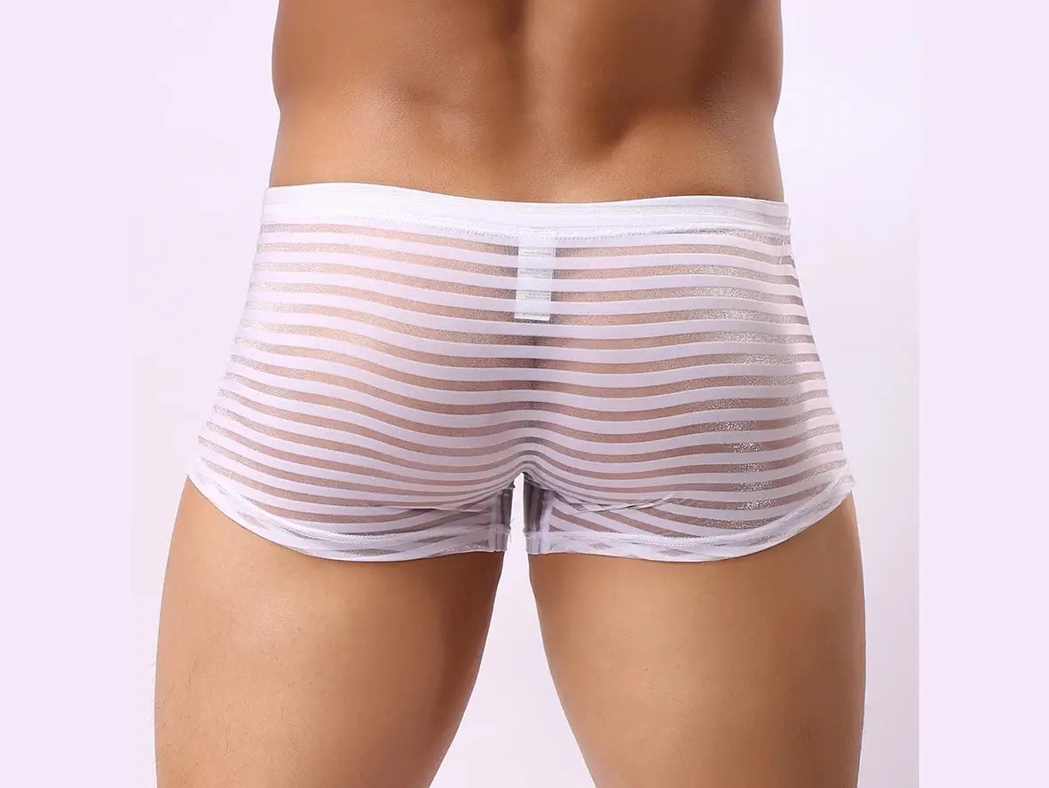 Gay Boxer Briefs | CLEVER-MENMODE Underwear See-Through Boxer Briefs