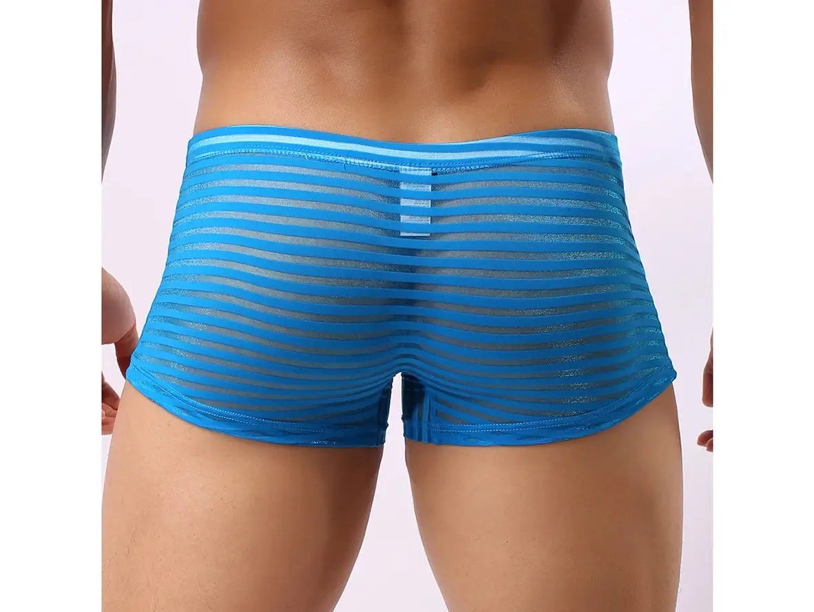 Gay Boxer Briefs | CLEVER-MENMODE Underwear See-Through Boxer Briefs