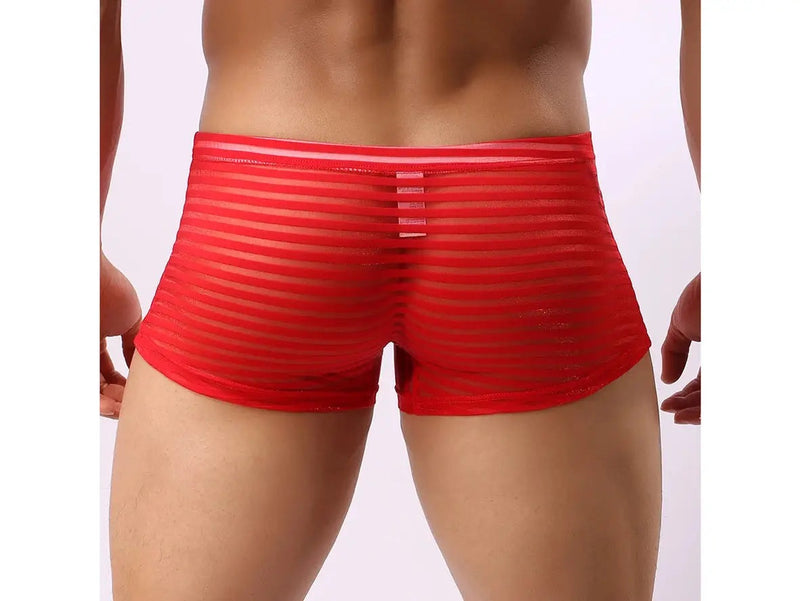 Gay Boxer Briefs | CLEVER-MENMODE Underwear See-Through Boxer Briefs