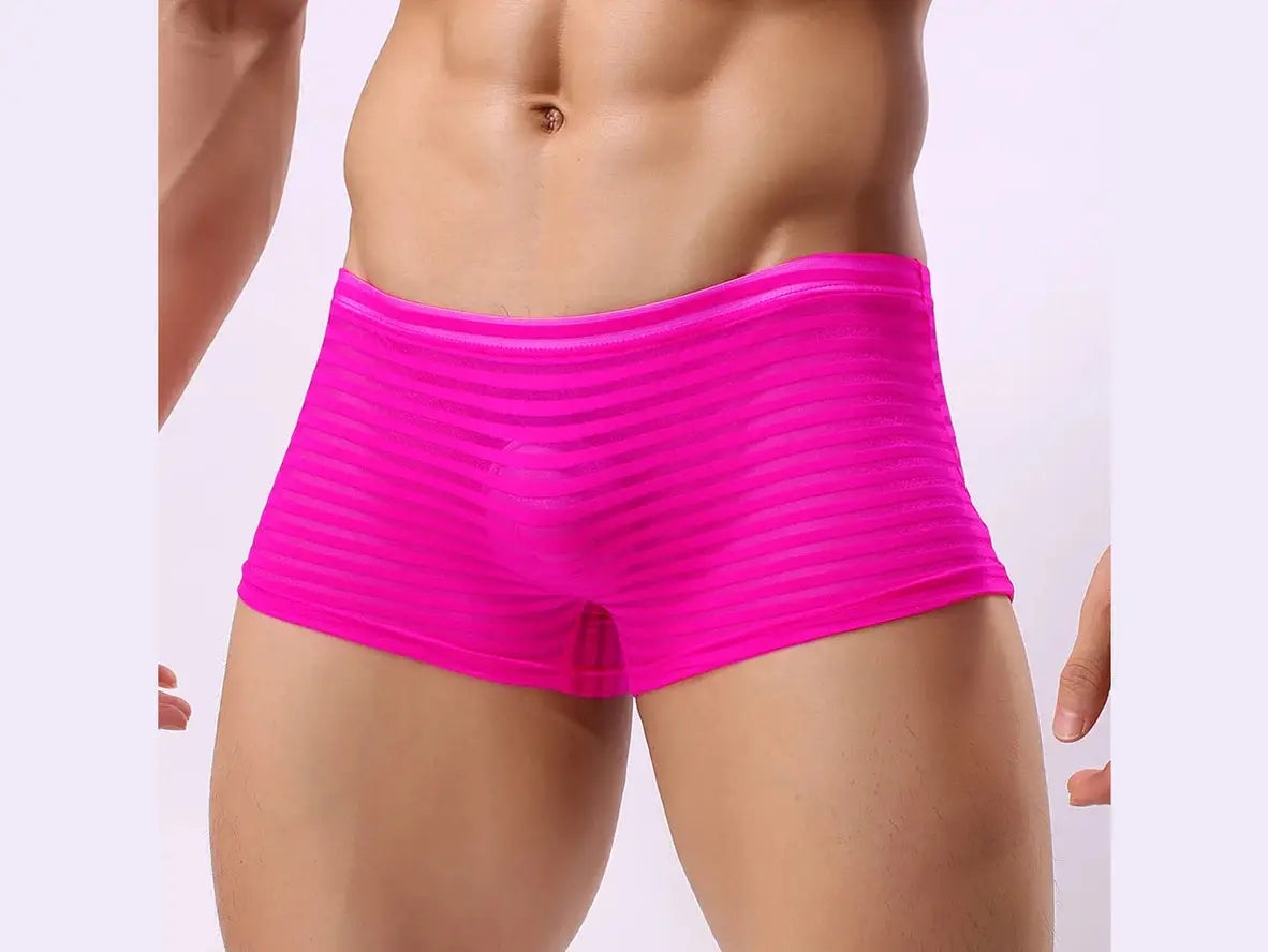 Gay Boxer Briefs | CLEVER-MENMODE Underwear See-Through Boxer Briefs