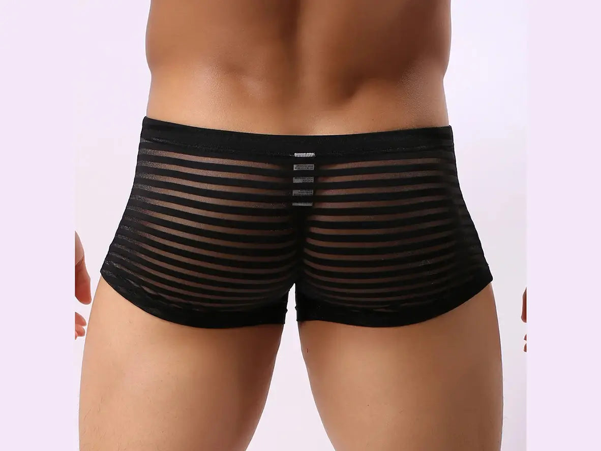 Gay Boxer Briefs | CLEVER-MENMODE Underwear See-Through Boxer Briefs