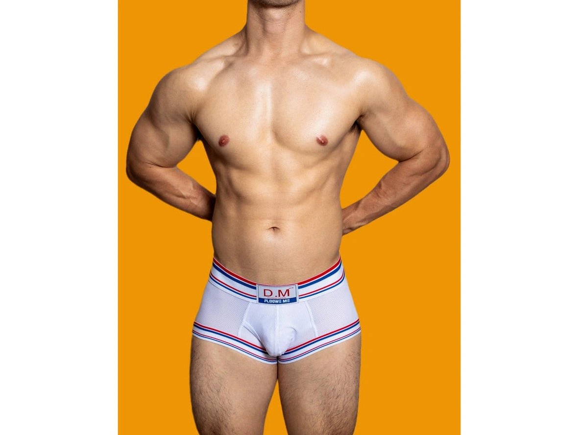 Gay Boxer Briefs | D.M Mesh Boxer Briefs