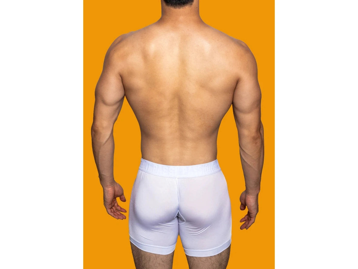 Gay Boxer Briefs | D.M Release It Passion! Boxer Briefs