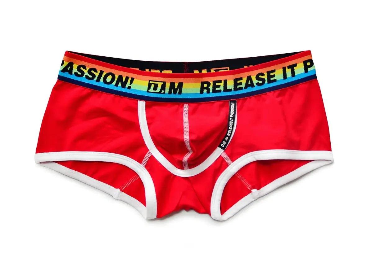 Gay Boxer Briefs | D.M Release the Passion Pride Boxer Briefs