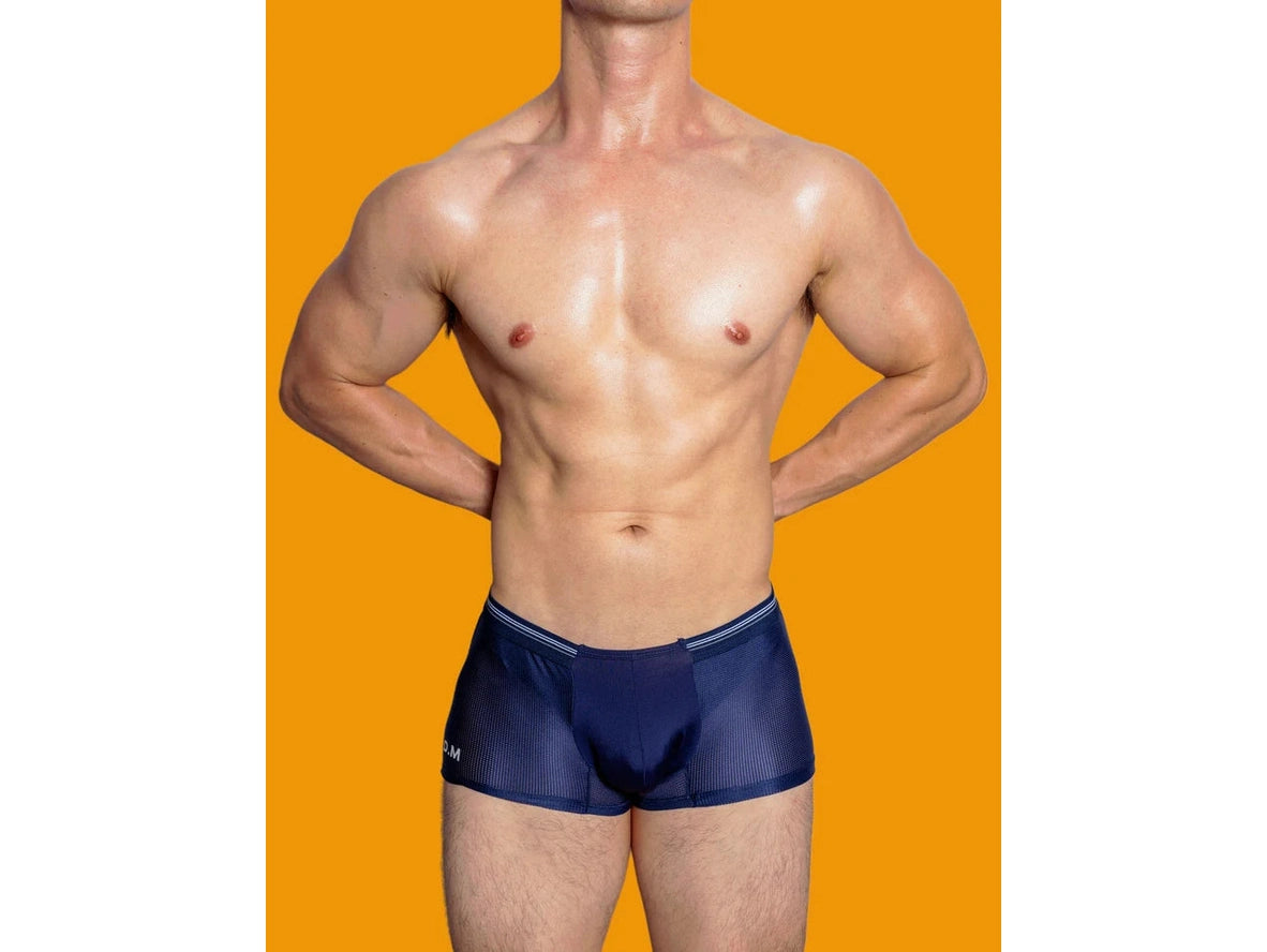 Gay Boxer Briefs | D.M Soft Cool Mesh Boxer Briefs