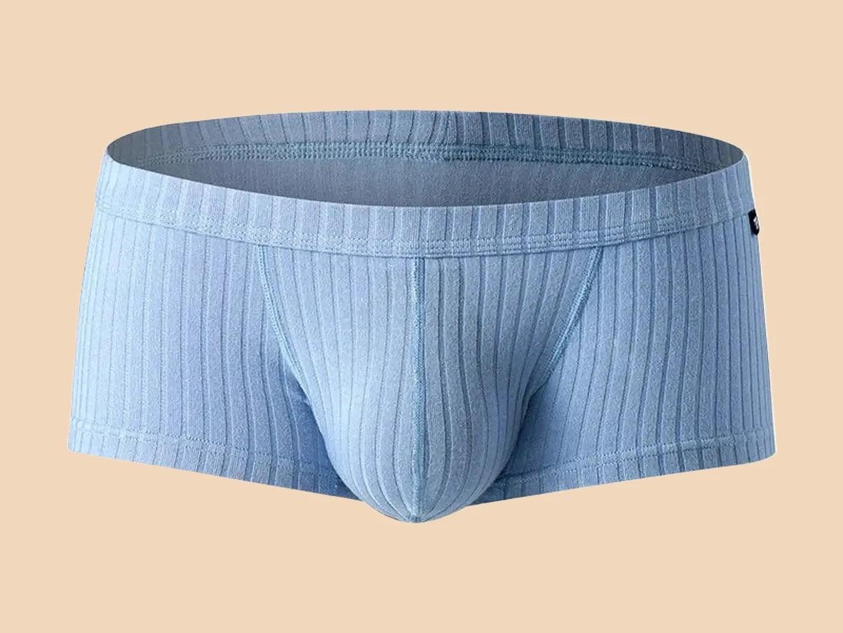 Gay Boxer Briefs | GTOPX MAN Big Pouch Briefs