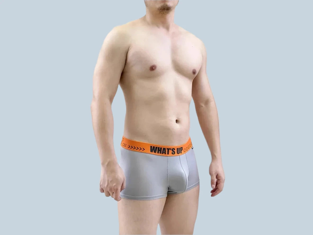 Gay Boxer Briefs | GTOPX MAN &quot;What&#39;s Up&quot; Boxer Briefs