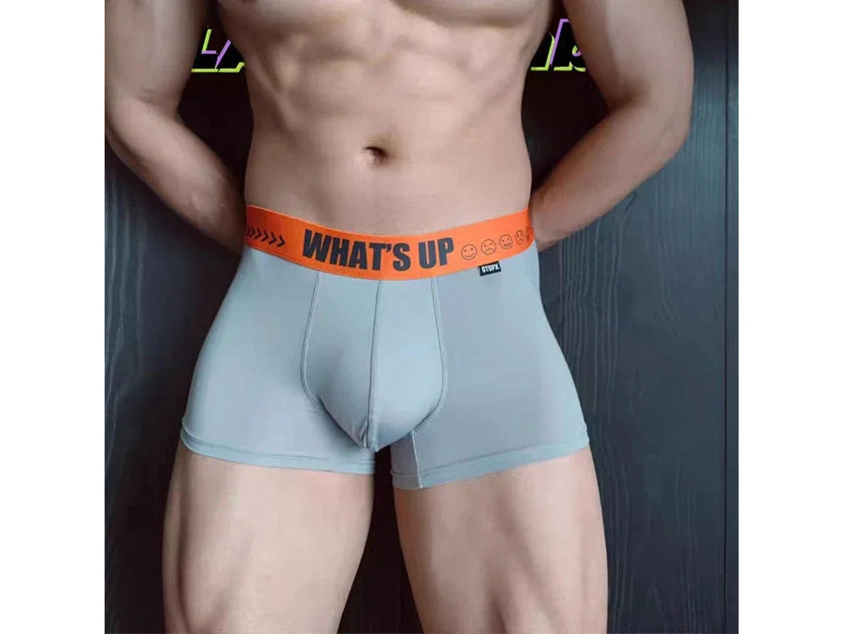 Gay Boxer Briefs | GTOPX MAN "What's Up" Boxer Briefs