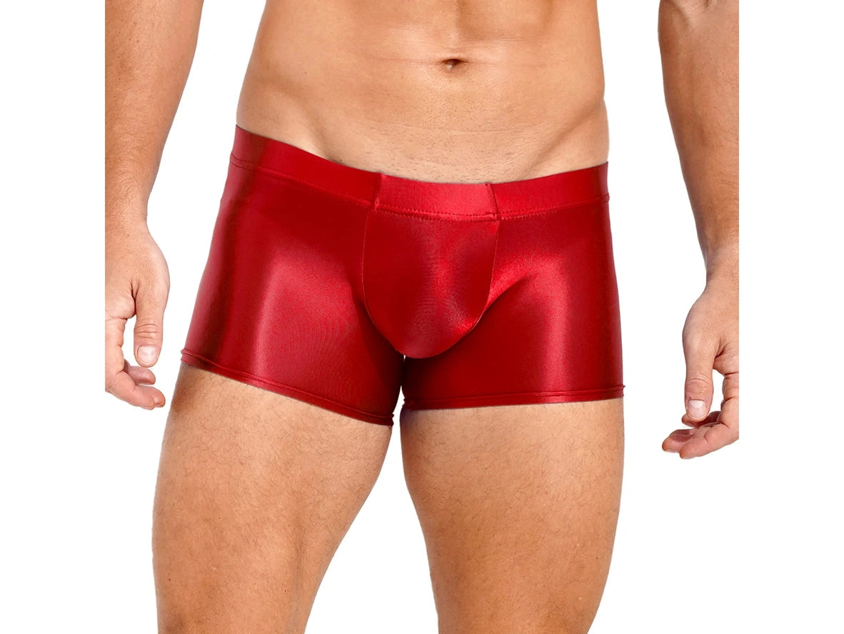 Gay Boxer Briefs | Glossy See-Through Boxer Briefs