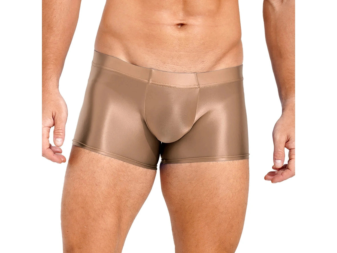 Gay Boxer Briefs | Glossy See-Through Boxer Briefs