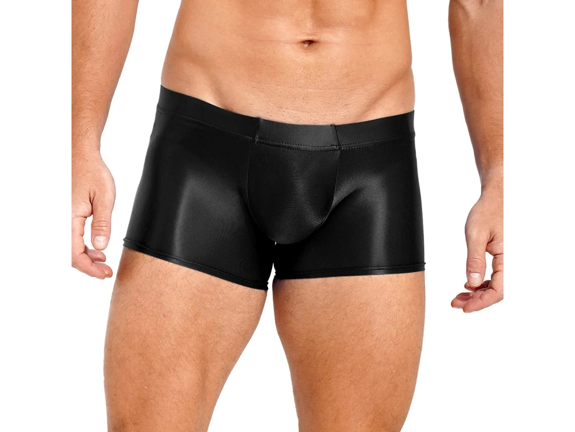 Gay Boxer Briefs | Glossy See-Through Boxer Briefs