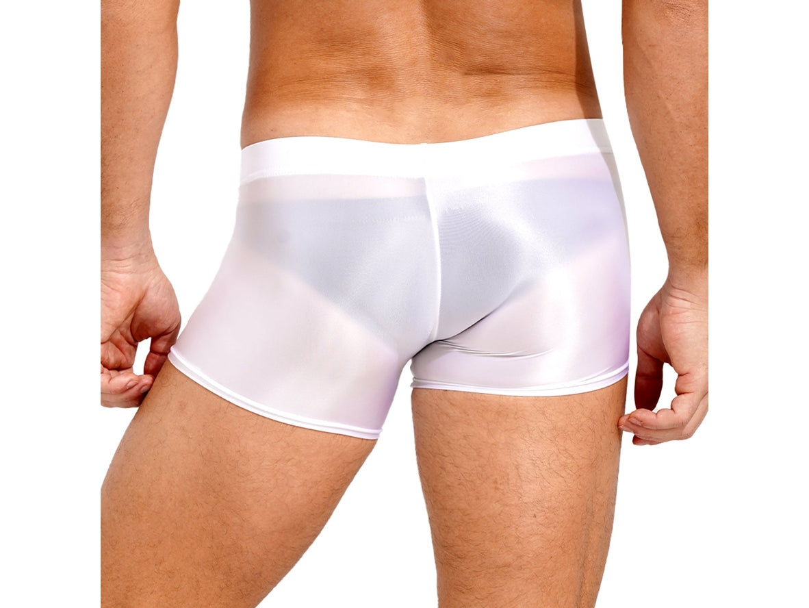 Gay Boxer Briefs | Glossy See-Through Boxer Briefs