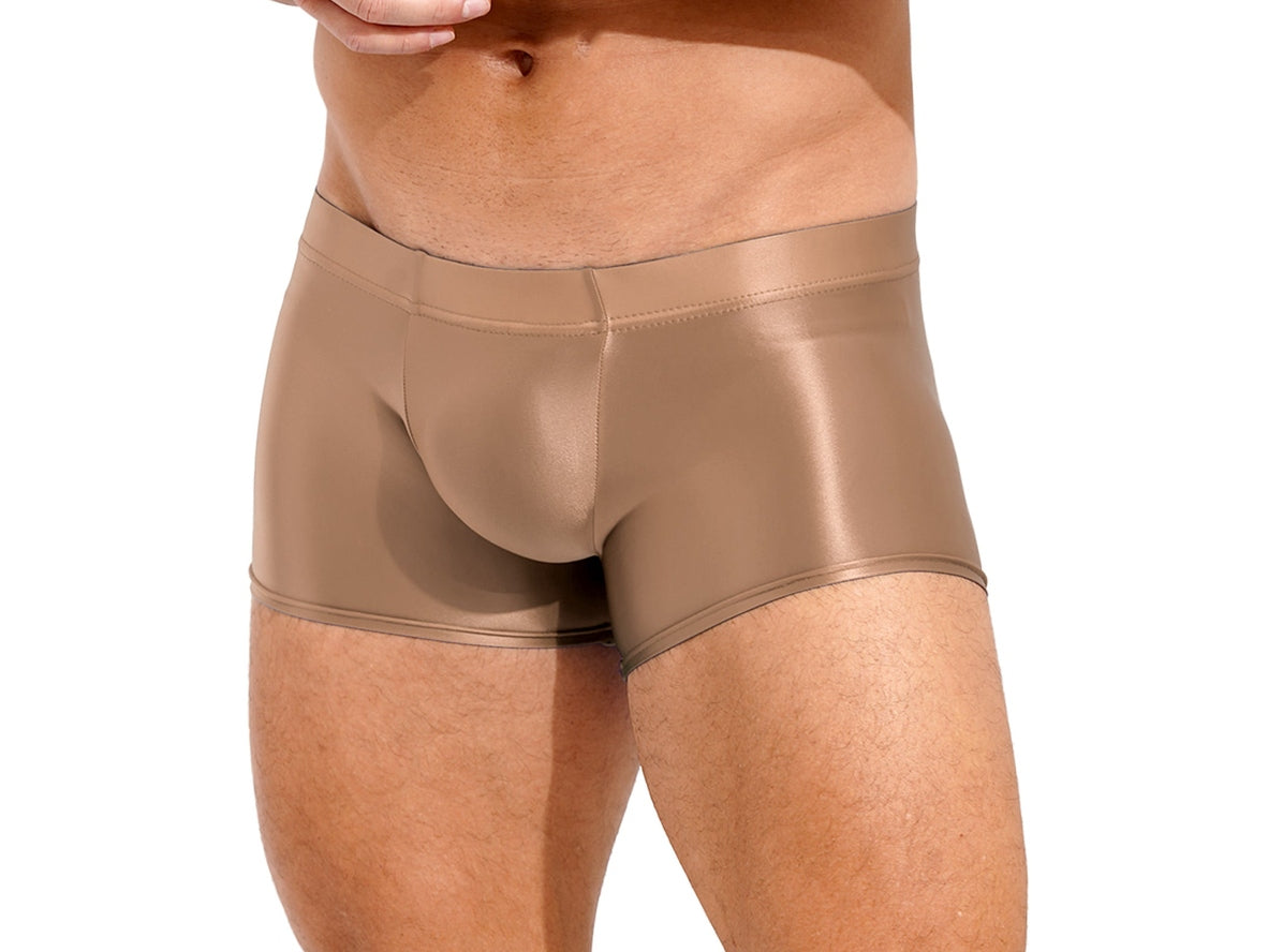 Gay Boxer Briefs | Glossy See-Through Boxer Briefs