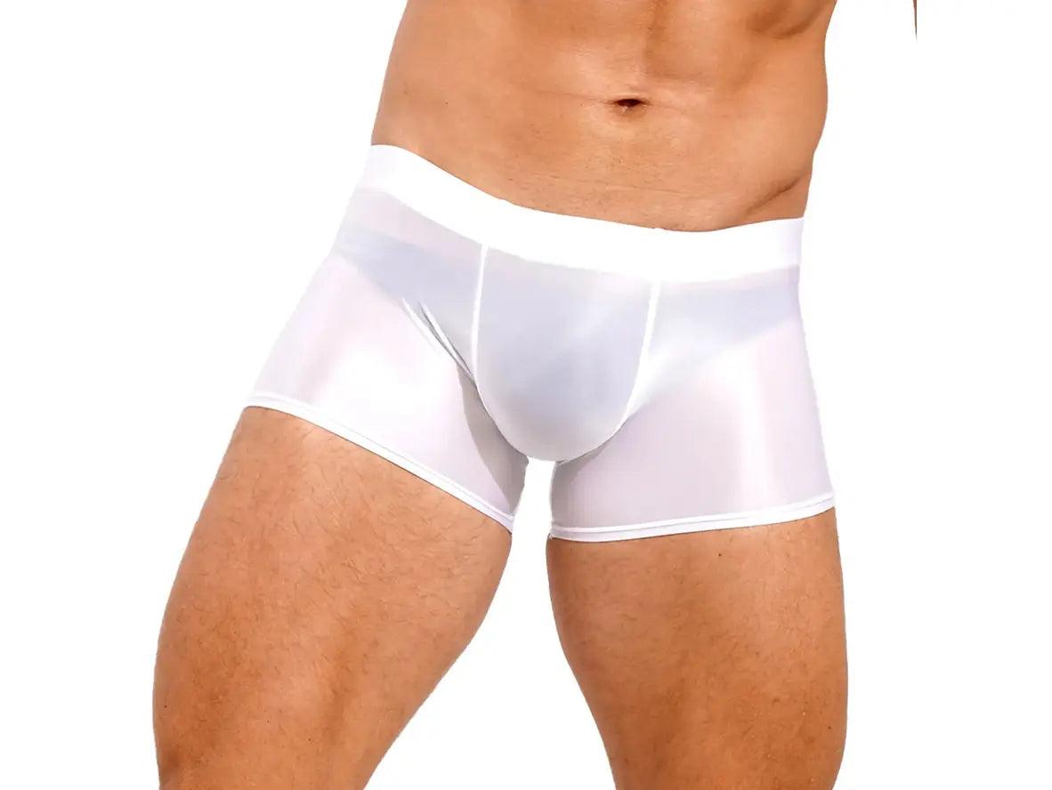 Gay Boxer Briefs | Glossy See-Through Boxer Briefs