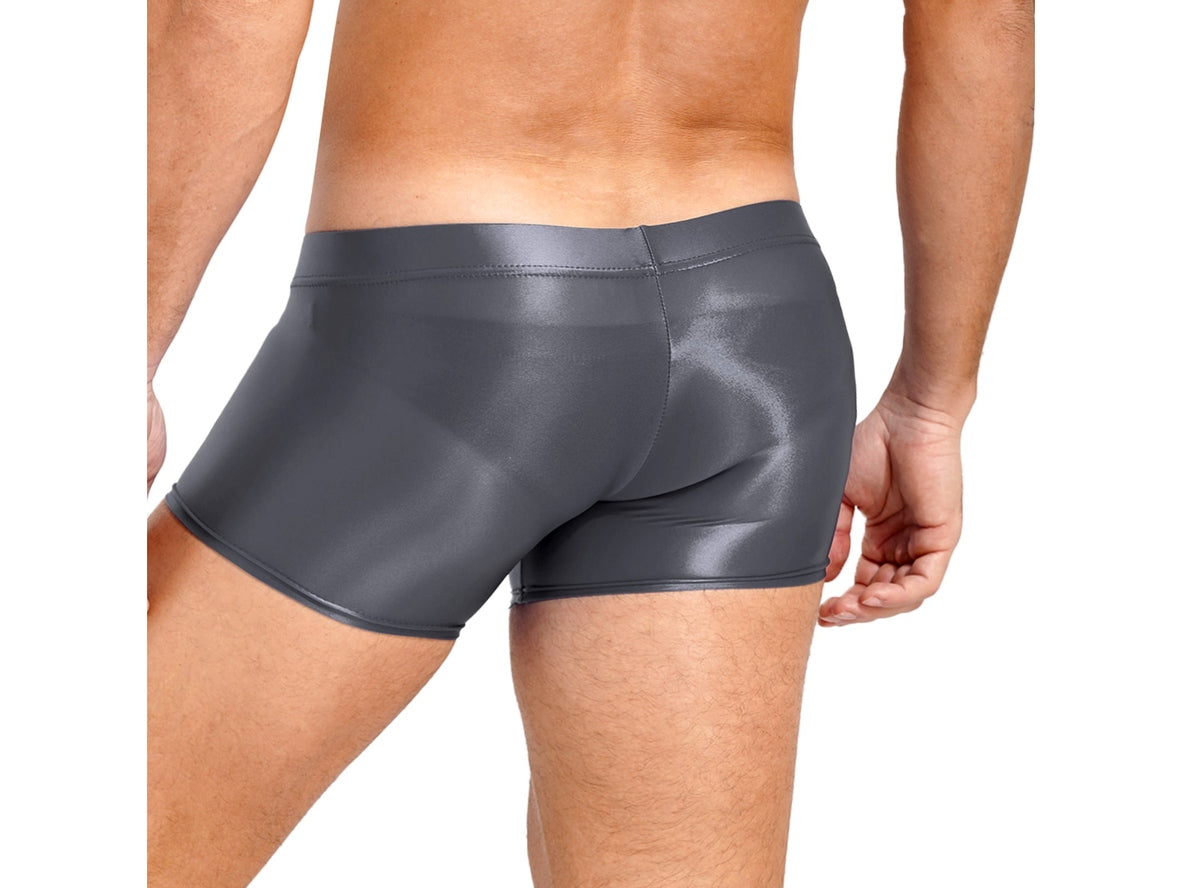 Gay Boxer Briefs | Glossy See-Through Boxer Briefs