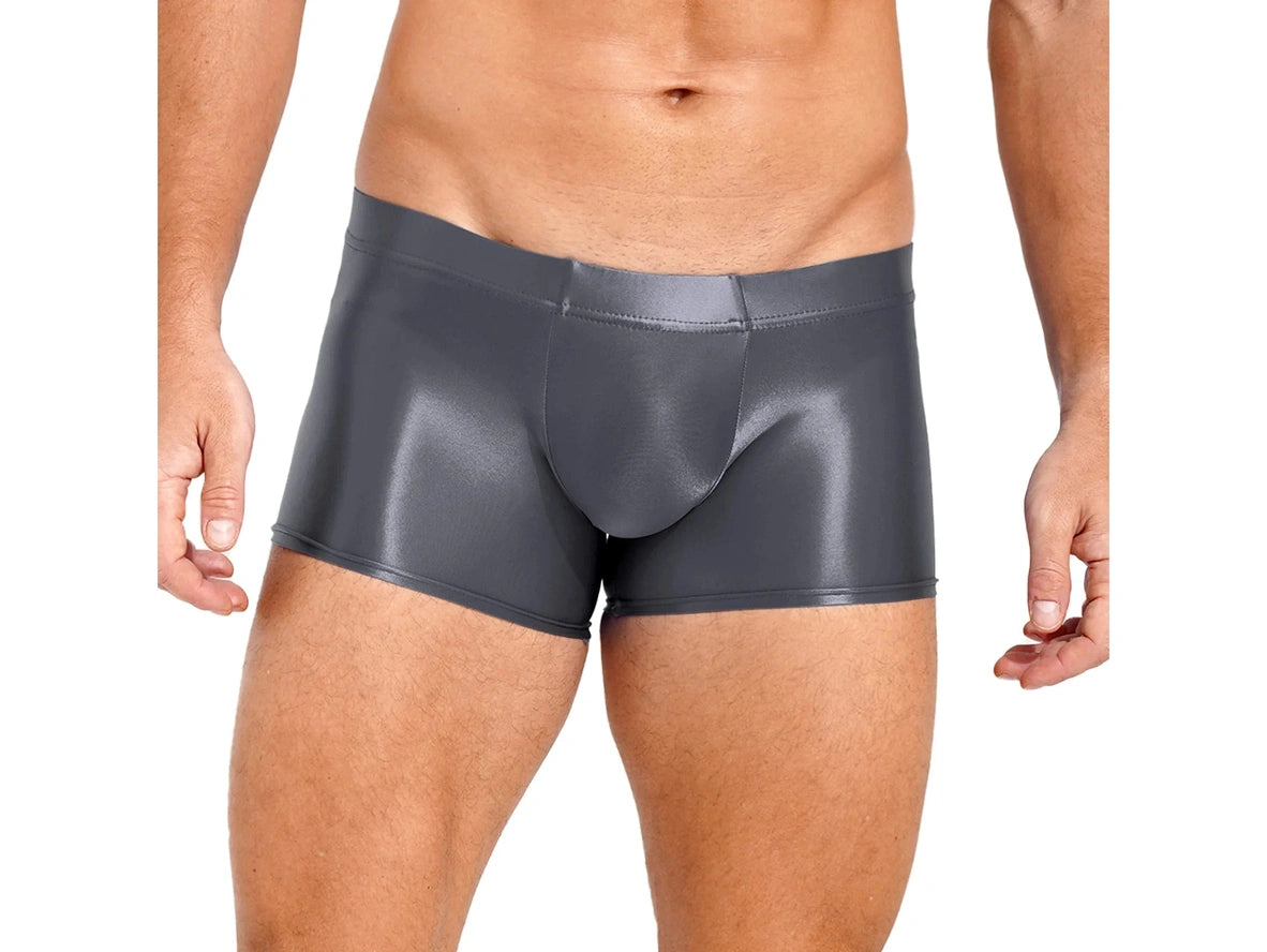 Gay Boxer Briefs | Glossy See-Through Boxer Briefs