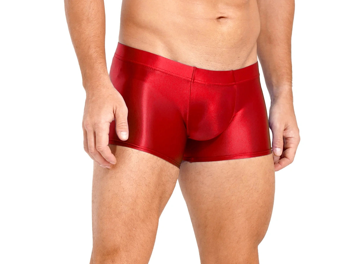Gay Boxer Briefs | Glossy See-Through Boxer Briefs