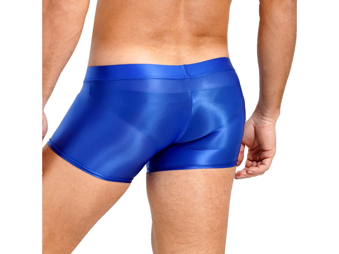 Gay Boxer Briefs | Glossy See-Through Boxer Briefs