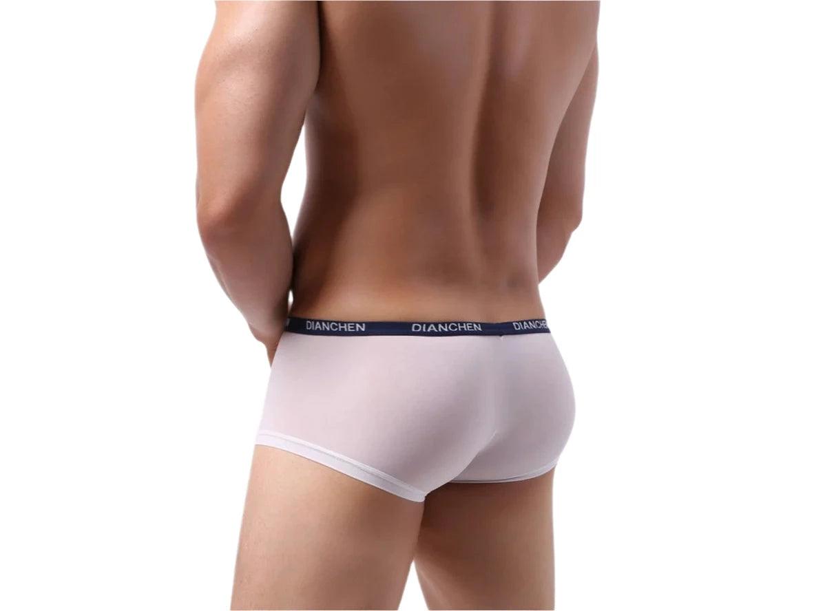 Gay Boxer Briefs | Ice Silk Ultra-Thin Boxer Briefs