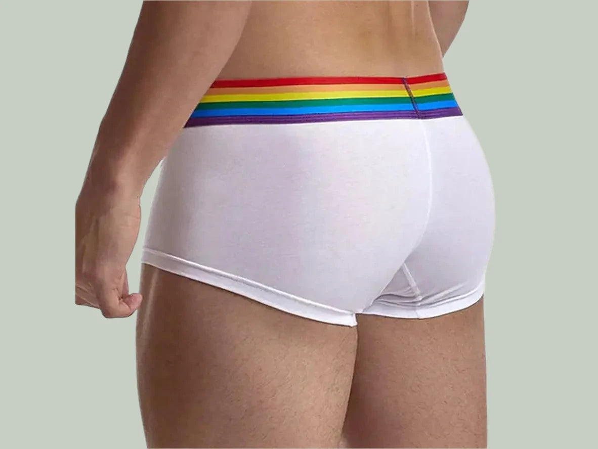 Gay Boxer Briefs | JOCKMAIL Pride Boxer Briefs