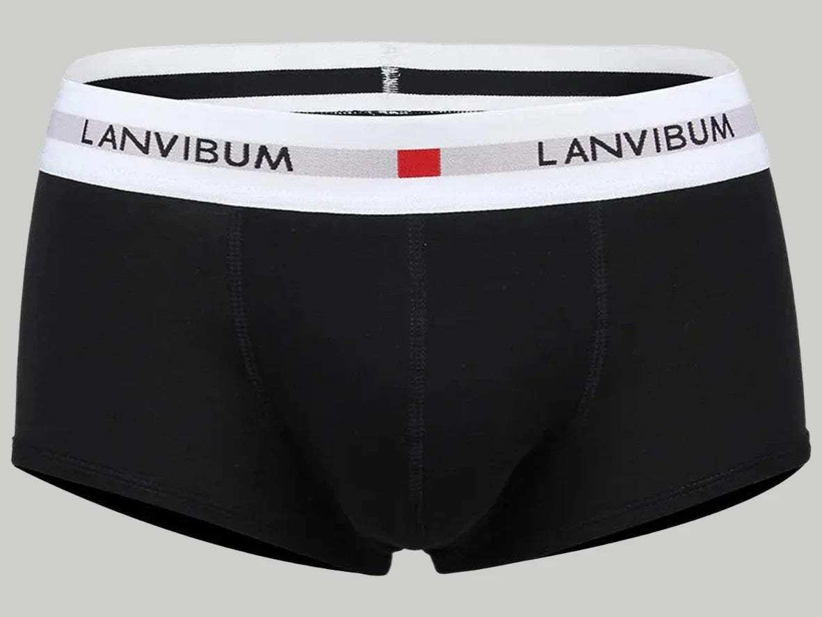 Gay Boxer Briefs | LANVIBUM Classic Cotton Briefs