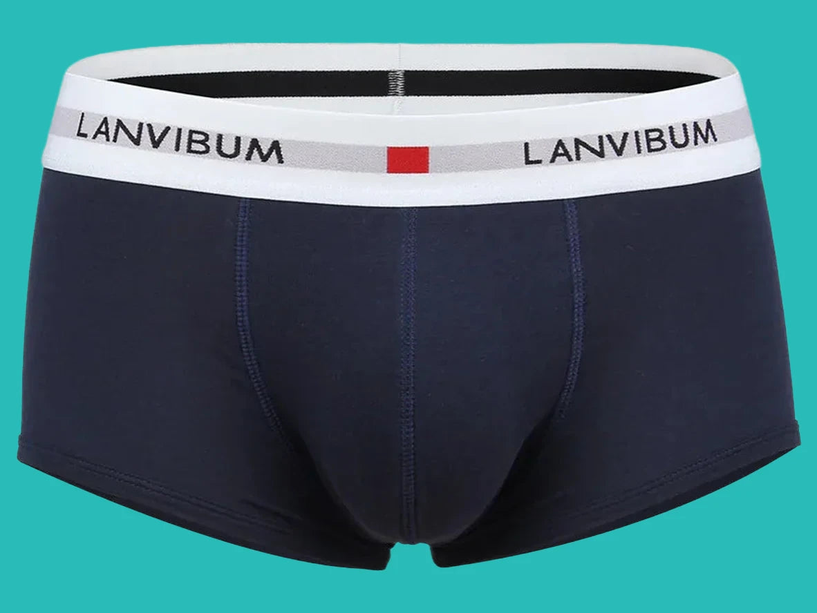 Gay Boxer Briefs | LANVIBUM Classic Cotton Briefs
