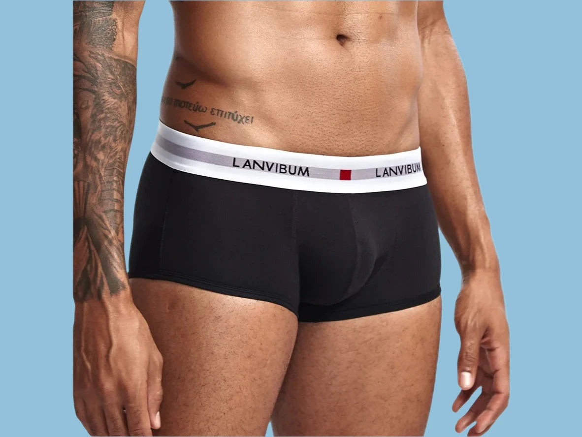 Gay Boxer Briefs | LANVIBUM Classic Cotton Briefs