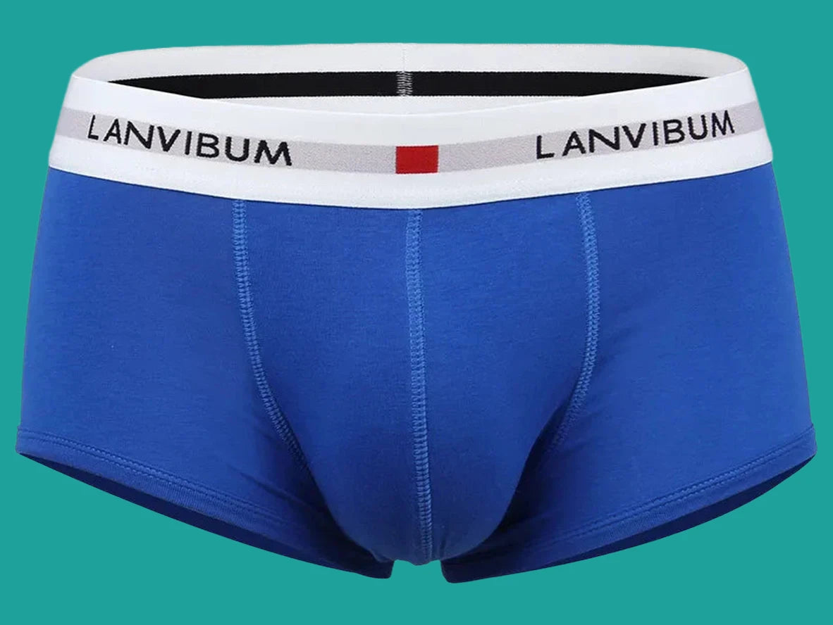 Gay Boxer Briefs | LANVIBUM Classic Cotton Briefs