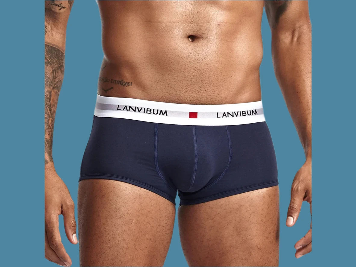 Gay Boxer Briefs | LANVIBUM Classic Cotton Briefs