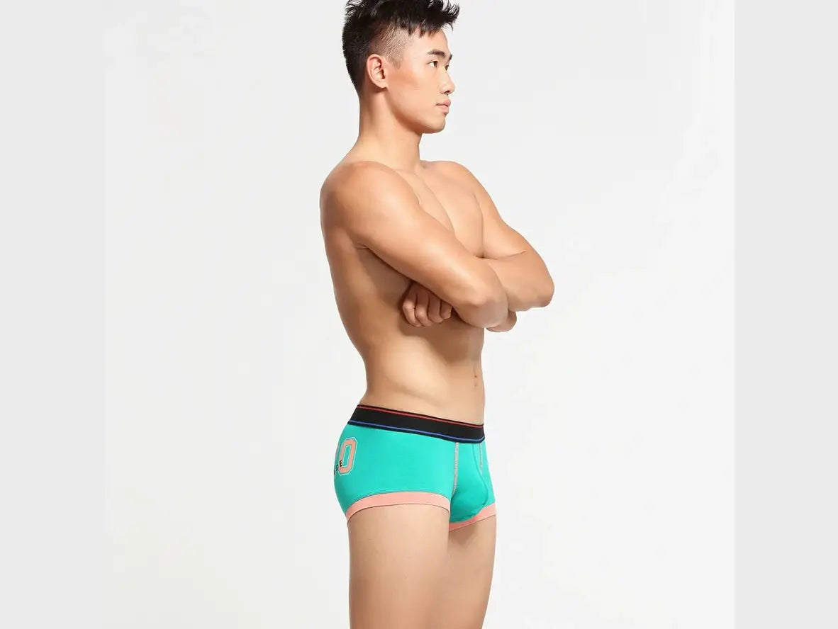 Gay Boxer Briefs | SEOBEAN Cotton Boxer Briefs