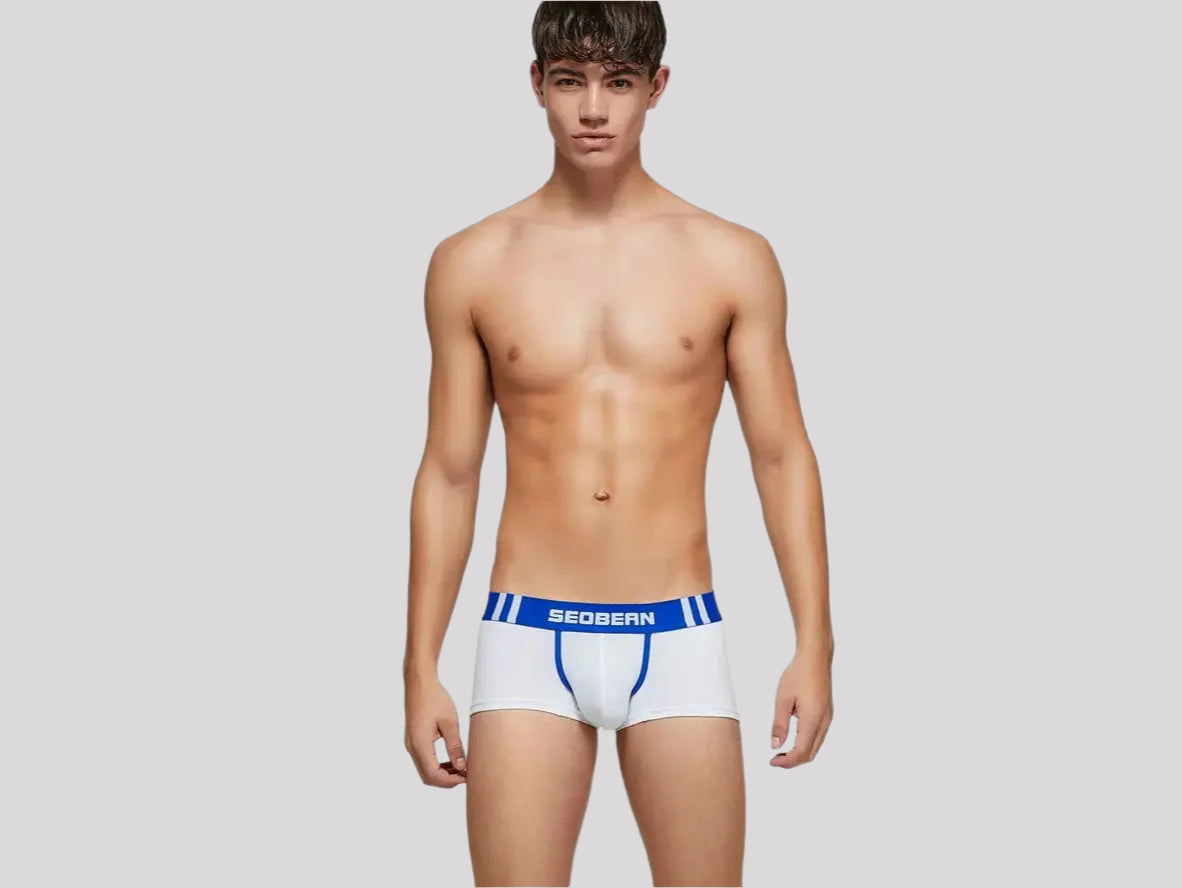Gay Boxer Briefs | SEOBEAN Cotton Boxer Briefs