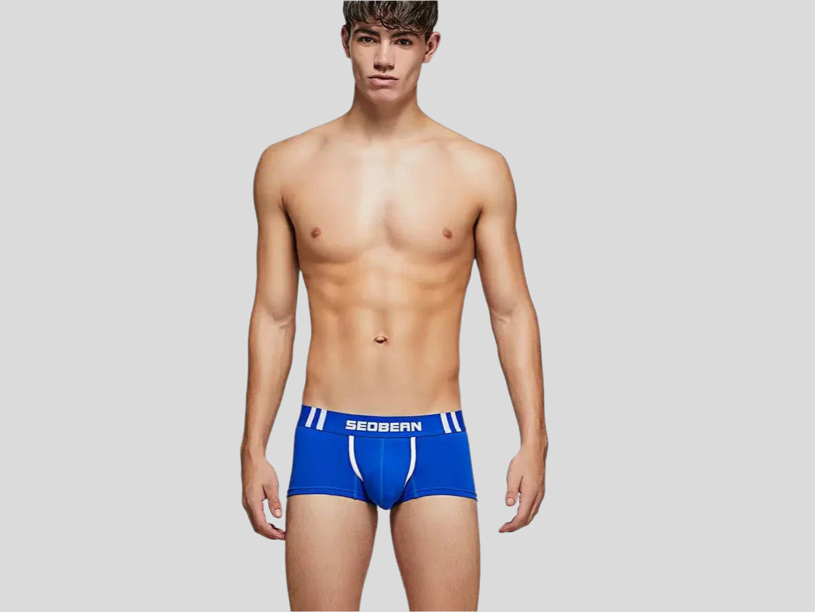 Gay Boxer Briefs | SEOBEAN Cotton Boxer Briefs