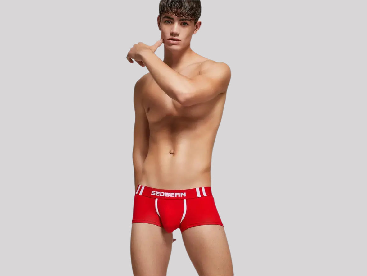 Gay Boxer Briefs | SEOBEAN Cotton Boxer Briefs