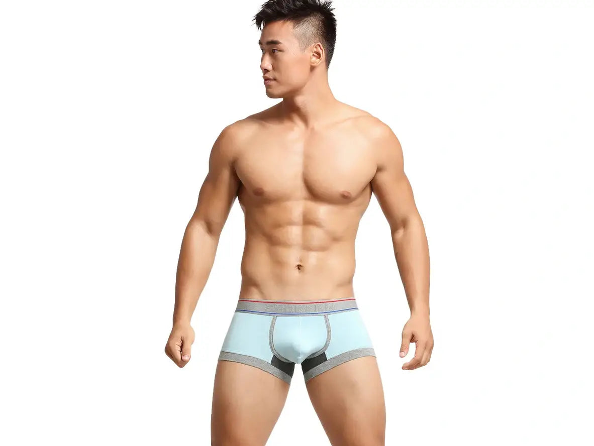 Gay Boxer Briefs | SEOBEAN Cotton Boxer Briefs