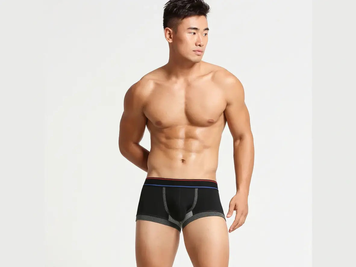 Gay Boxer Briefs | SEOBEAN Cotton Boxer Briefs