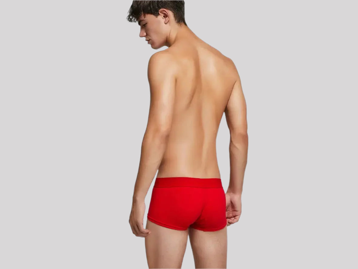Gay Boxer Briefs | SEOBEAN Cotton Boxer Briefs