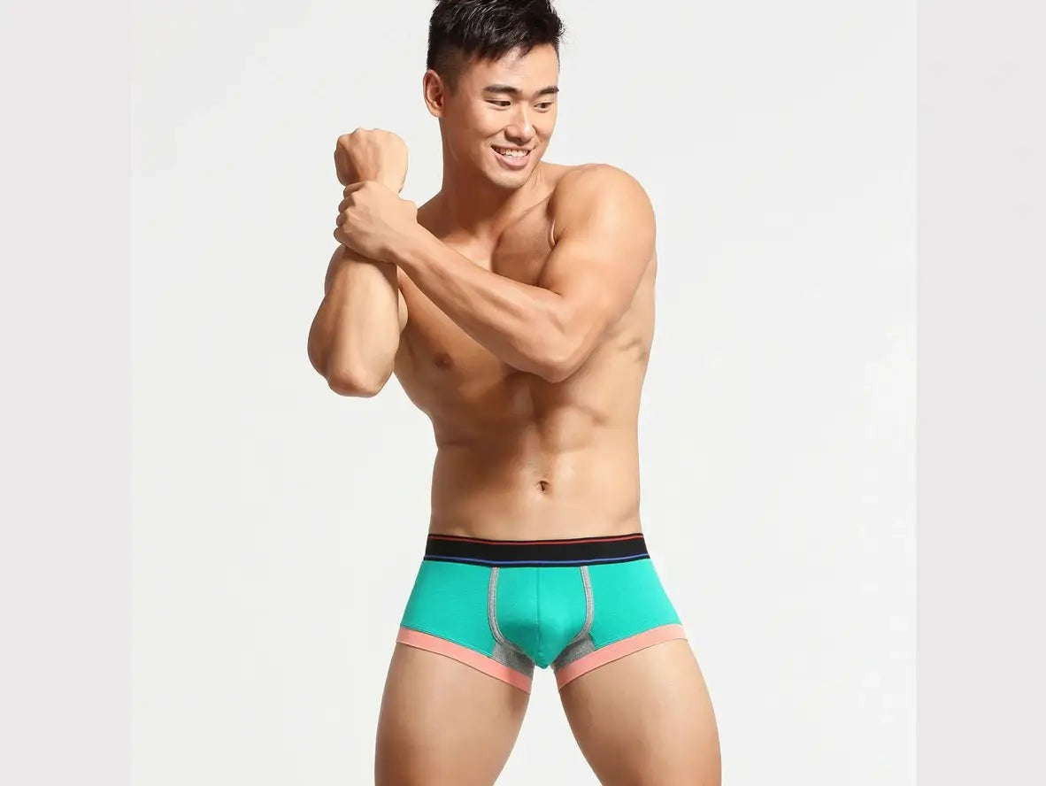 Gay Boxer Briefs | SEOBEAN Cotton Underwear Boxer Briefs