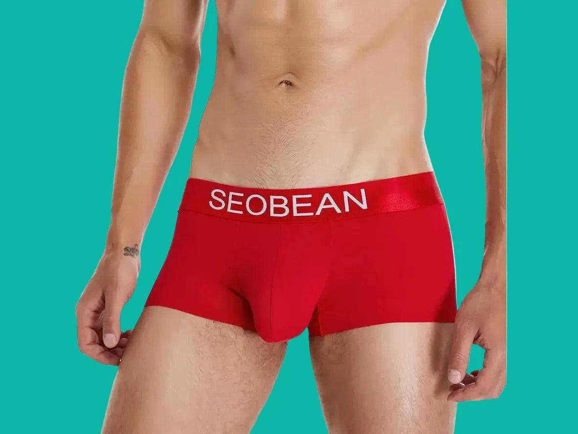 Gay Boxer Briefs | SEOBEAN Ice Silk Cool Boxer Briefs