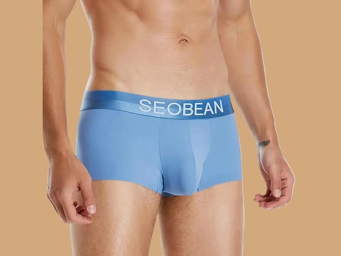 Gay Boxer Briefs | SEOBEAN Ice Silk Cool Boxer Briefs