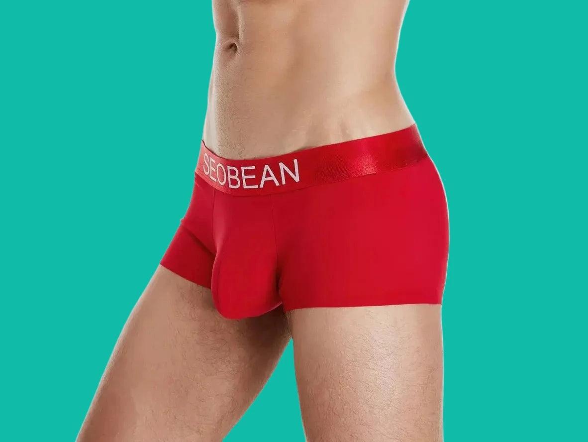 Gay Boxer Briefs | SEOBEAN Ice Silk Cool Boxer Briefs