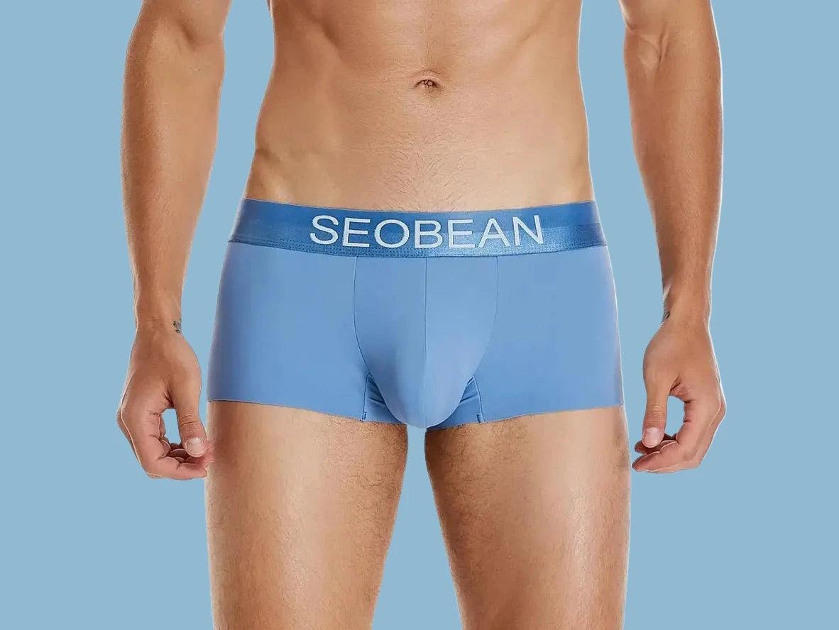 Gay Boxer Briefs | SEOBEAN Ice Silk Cool Boxer Briefs